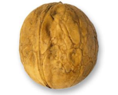 Screenshot-2025-06-09-150110