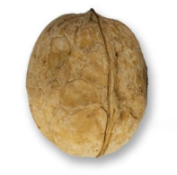 Screenshot-2025-06-09-150538