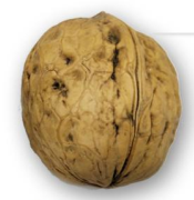 Screenshot-2025-06-09-150653