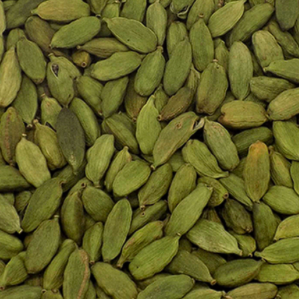 Screenshot 2025-07-24 123620