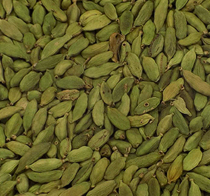 Screenshot 2025-07-24 125400