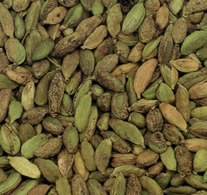 Screenshot 2025-07-24 125641