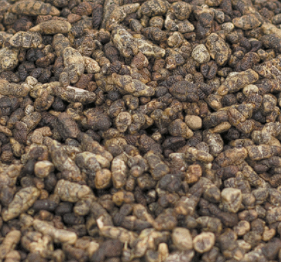 Screenshot 2025-07-24 131053