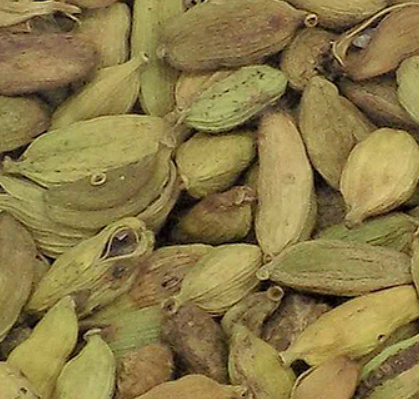 Screenshot 2025-07-24 131101