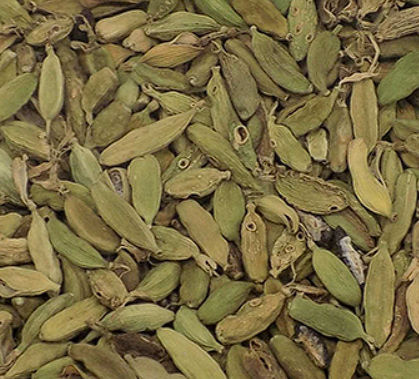 Screenshot 2025-07-24 131326