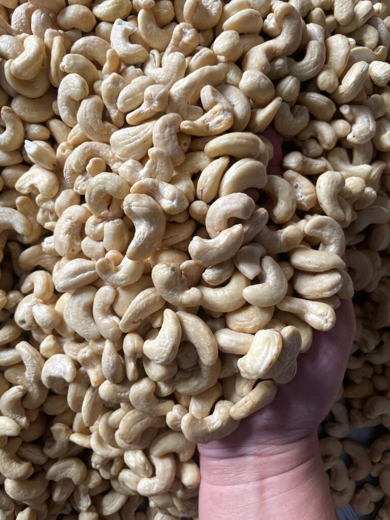 WhatsApp-Image-2025-06-09-at-10.41