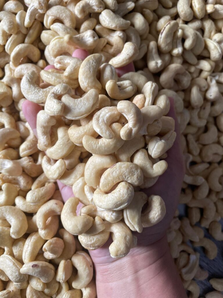 WhatsApp-Image-2025-06-09-at-10.46