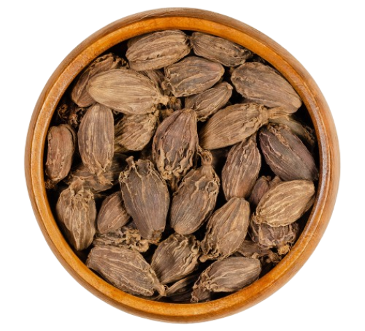 4407ebb6a8-removebg-preview